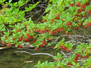 DSCN9837