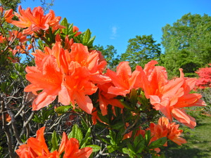 DSCN0176