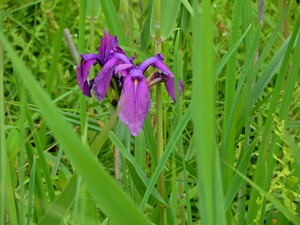 DSCN9616