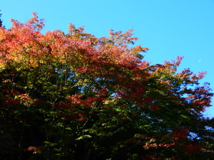 DSCN9789
