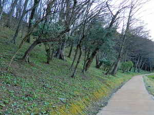 DSCN1637