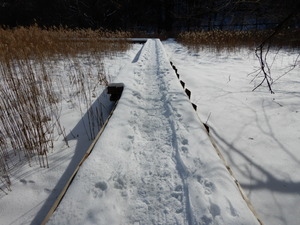 DSCN0266