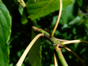 DSCN0360