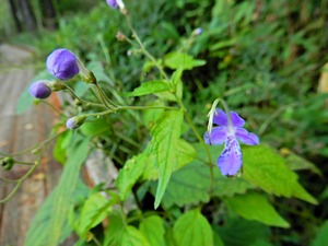 DSCN9798