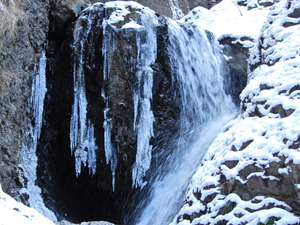 DSCN9646