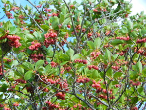 DSCN0162