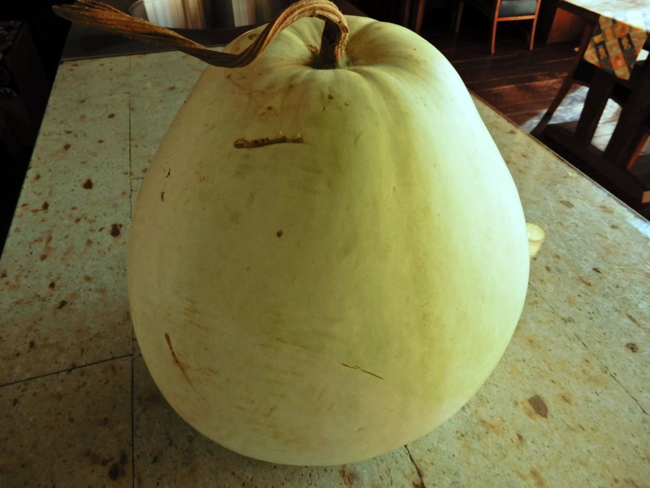 栃木の名産 夕顔の実 で作る一品 塩原温泉 彩つむぎ 女将の独り言 栃木の名産 夕顔の実 で作る一品 塩原温泉 彩つむぎ 女将の独り言