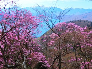 DSCN9335