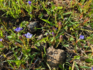 DSCN0206
