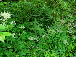 DSCN9480