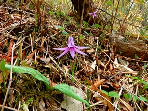 DSCN0543