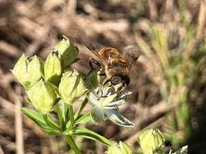 IMG_2886