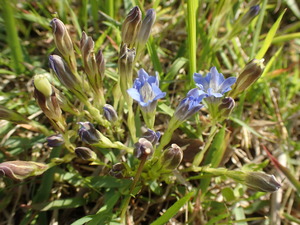 P6040041