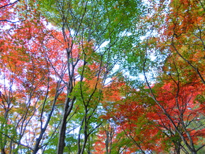 DSCN1658