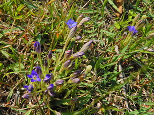 DSCN0210