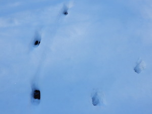 DSCN8683