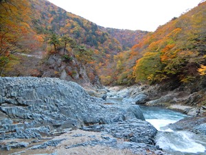 DSCN9672