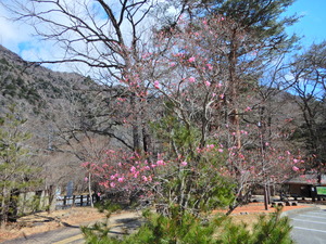DSCN9658