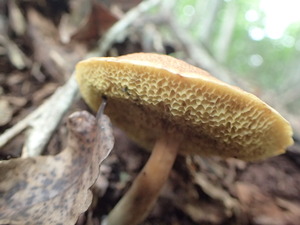 P9150874