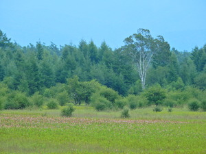 DSCN9567