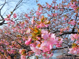 DSCN9433