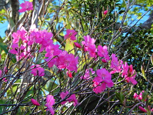 DSCN0374