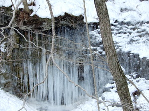 DSCN9427