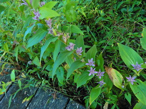 DSCN9302