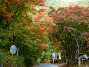 DSCN9313