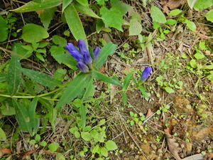 DSCN9702