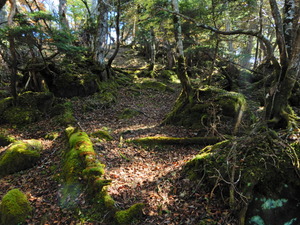 DSCN9366