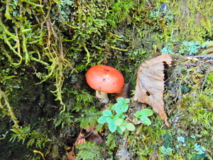 DSCN9405