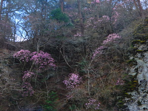 DSCN9921