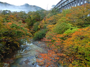 DSCN0019