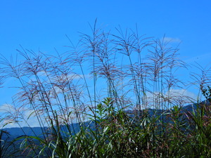 DSCN9565