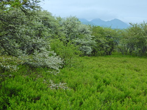 DSCN9530