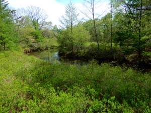 DSCN0679
