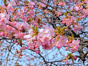 DSCN9427