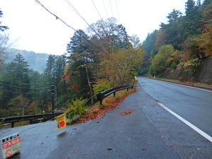 DSCN1162