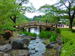 DSCN9767