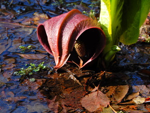 DSCN0072