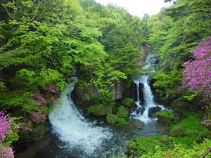 DSCN9462