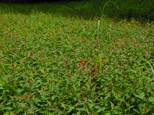 DSCN9638