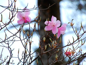 DSCN0570