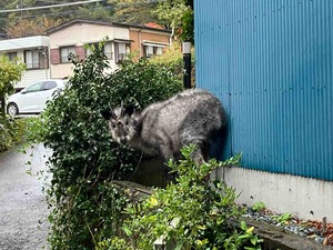 IMG_6673