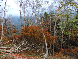 DSCN9636