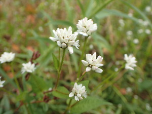P9281238