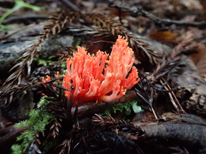 P9231164