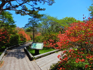 DSCN9644
