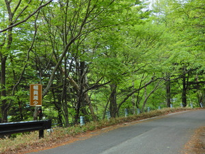 DSCN0008